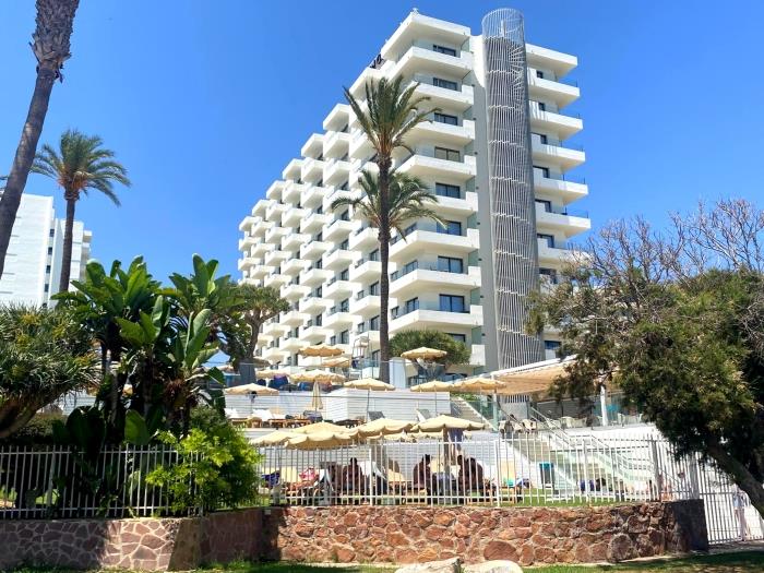 Playa junto al mar con noria, palmeras y ambiente turístico ideal para disfrutar del sol.